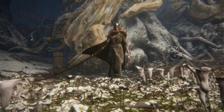 Is Malenia weak to anything Elden Ring?