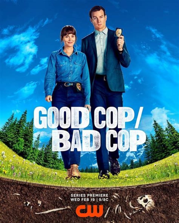 Is mall cop a bad movie?