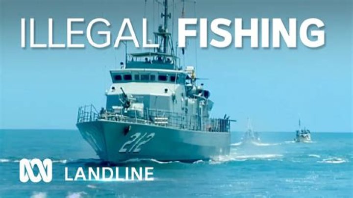 Is marlin fishing illegal?