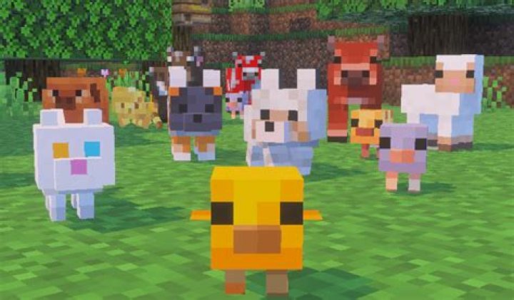 Is Minecraft a gender?