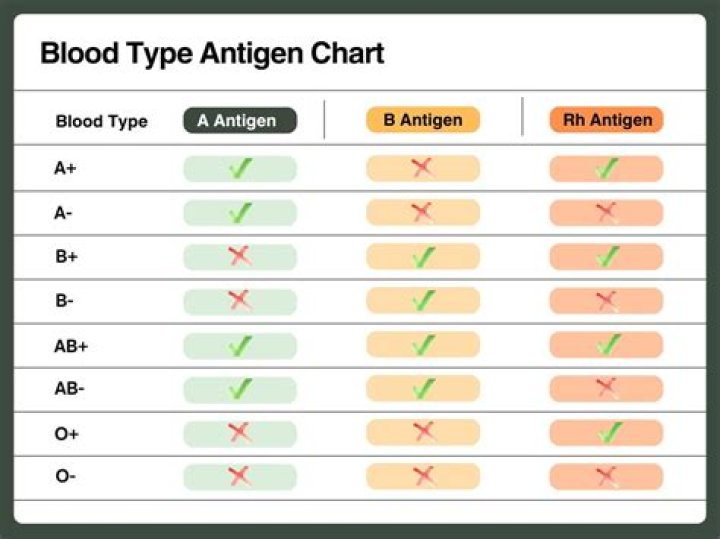 Is O Negative the rarest blood type?