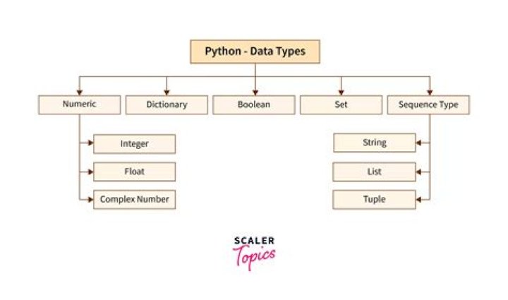Is object a data type in Python?