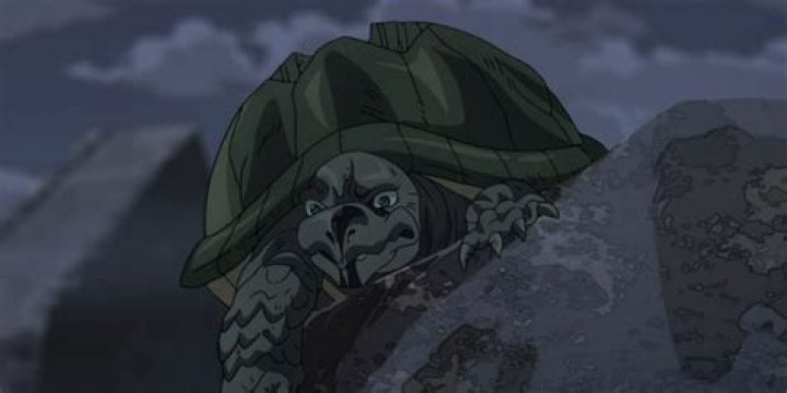 Is polnareff a turtle?