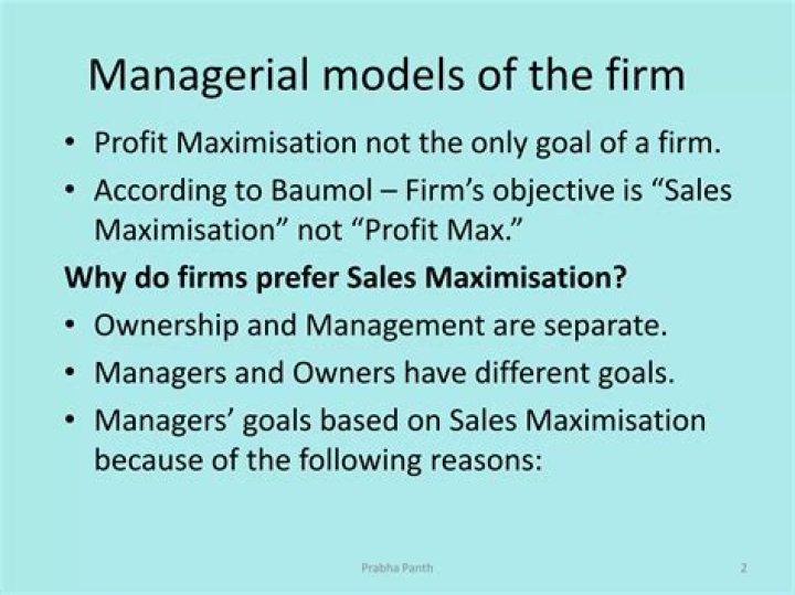 Is profit Maximisation the only objective of a firm?