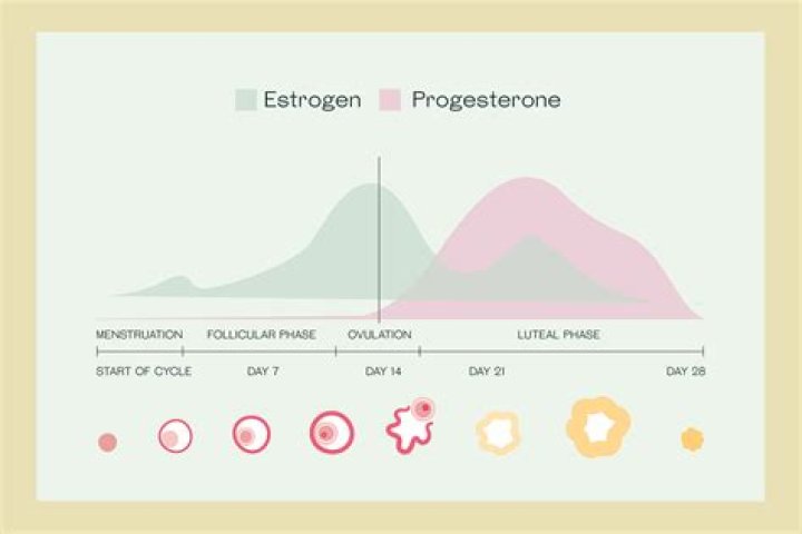 Is progesterone good for PCOS?