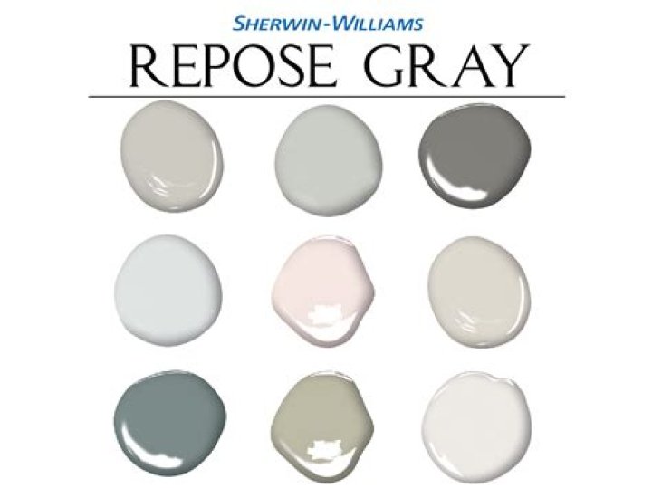 Is Repose Gray still popular 2021?