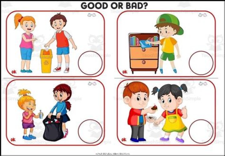 Is roadies good or bad?