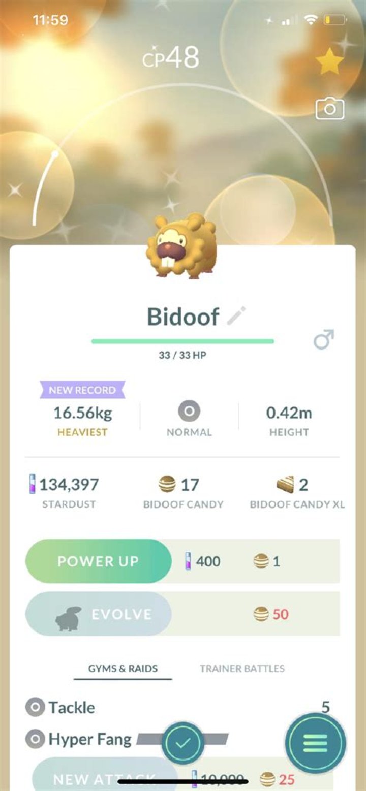Is shiny Bidoof rare?