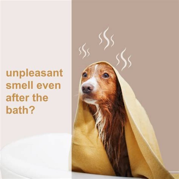 Is smelling sour meat bad?