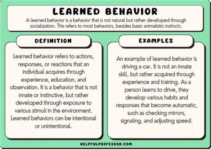 Is stealing a learned behavior?