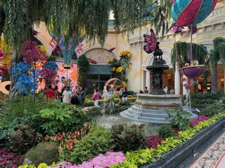 Is the menagerie a brothel?