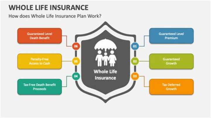 Is the paper of an old life insurance policy worth anything?