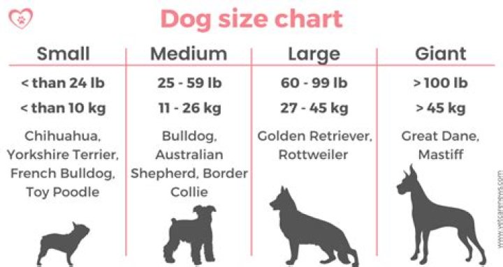 Is the weight of a dog discrete or continuous?