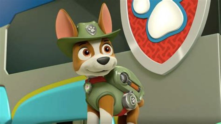 Is Tracker a PAW Patrol?