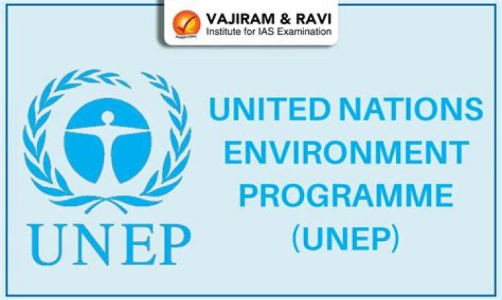 Is UNEP and UNDP same?