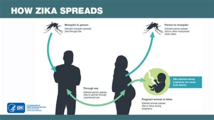 Is Zika still a thing 2021?