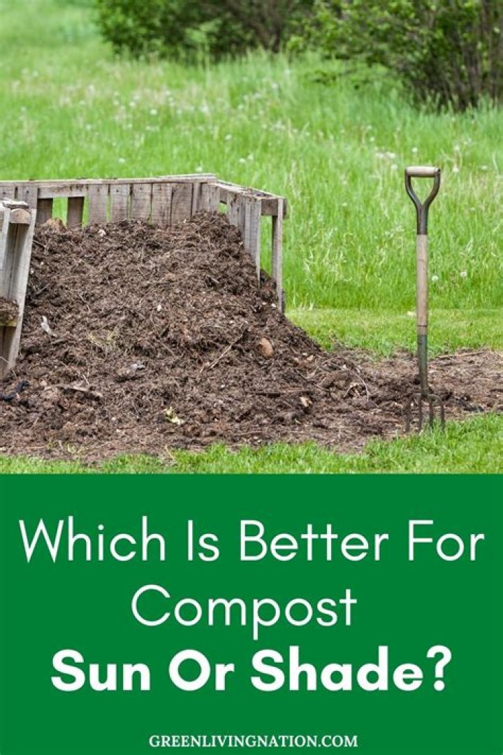 Should compost pile be in sun or shade?