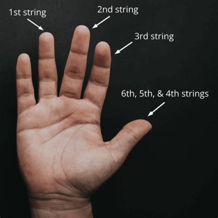 Should I learn chords or fingerstyle first?