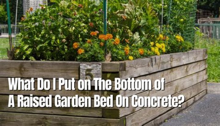 Should I line the bottom of a raised bed?