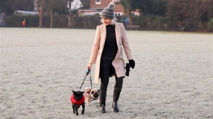 Should I walk my dog in the cold?