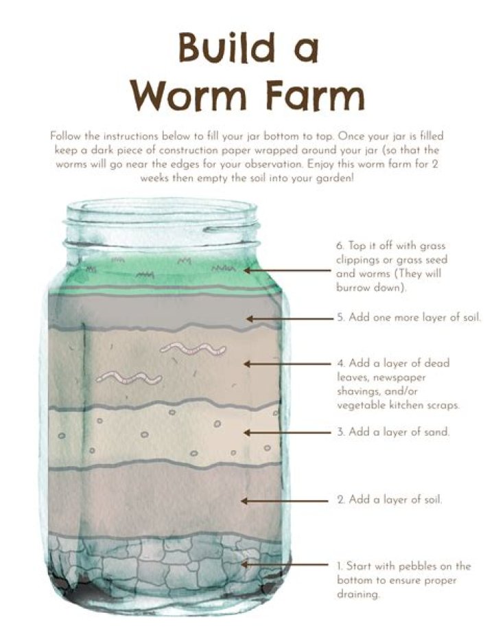 Should worm farms be sun or shade?