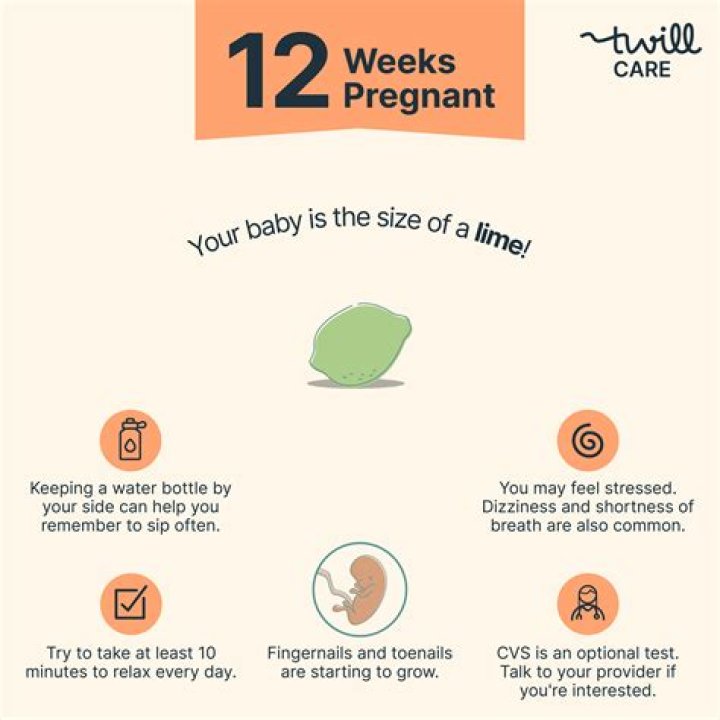 Should you be showing at 12 weeks?