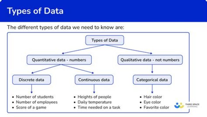 What are 10 types of data?