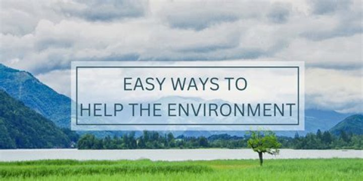 What are 3 ways to help the environment?