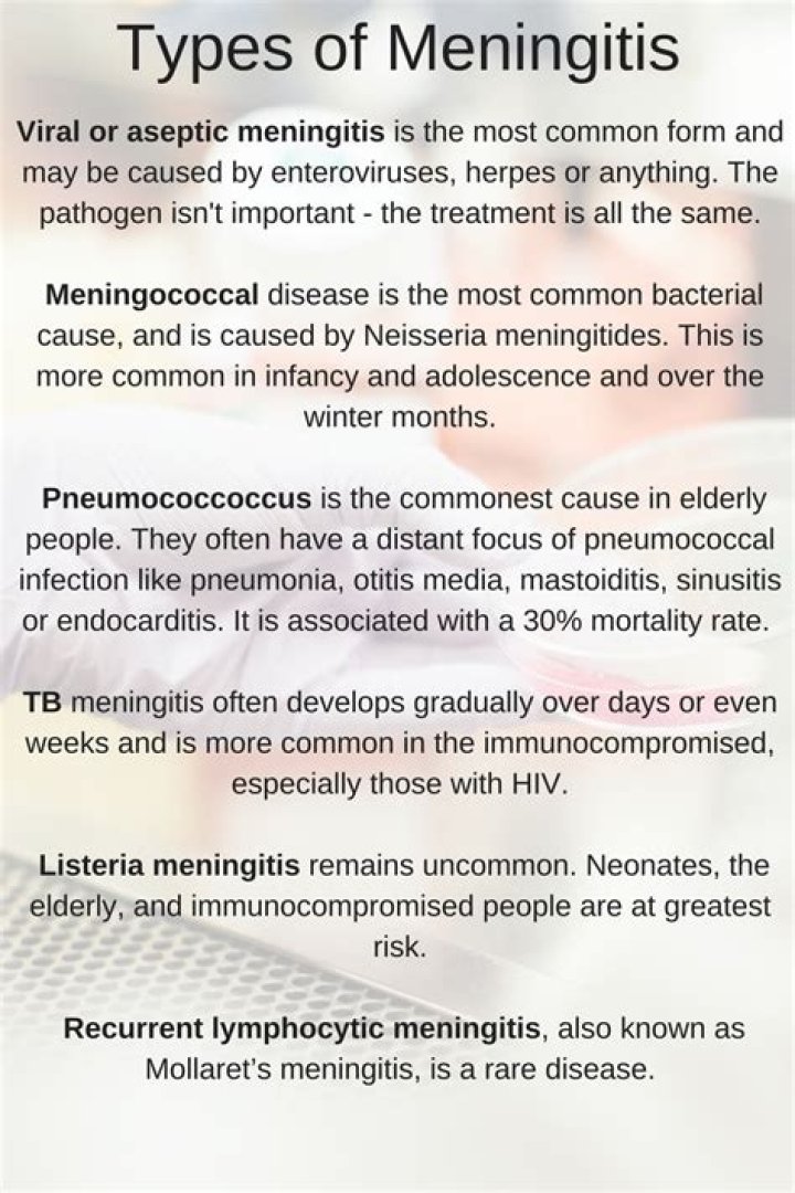 What are 4 types of meningitis?