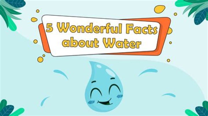 What are 5 facts about water?