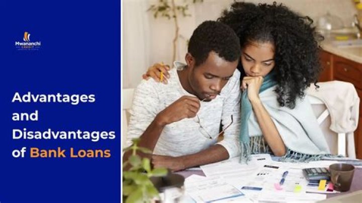 What are advantages and disadvantages of loans?