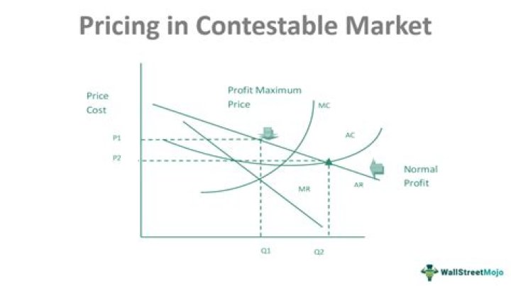 What are contestable consumers?