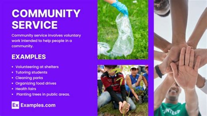 What are examples of community service for students?