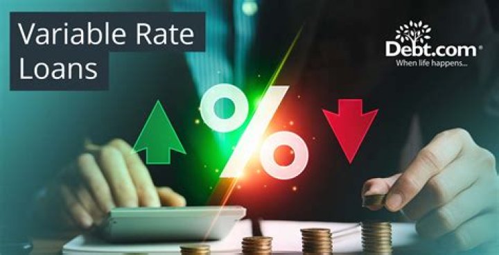 What are examples of variable loans?