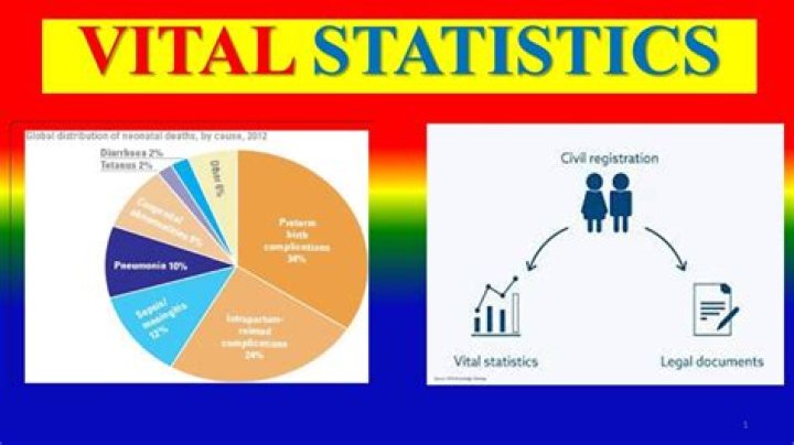 What are examples of vital statistics?