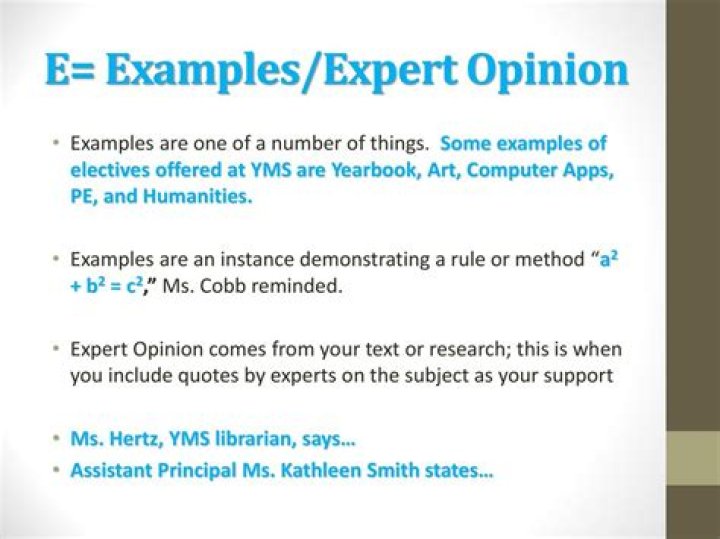 What are expert opinions?