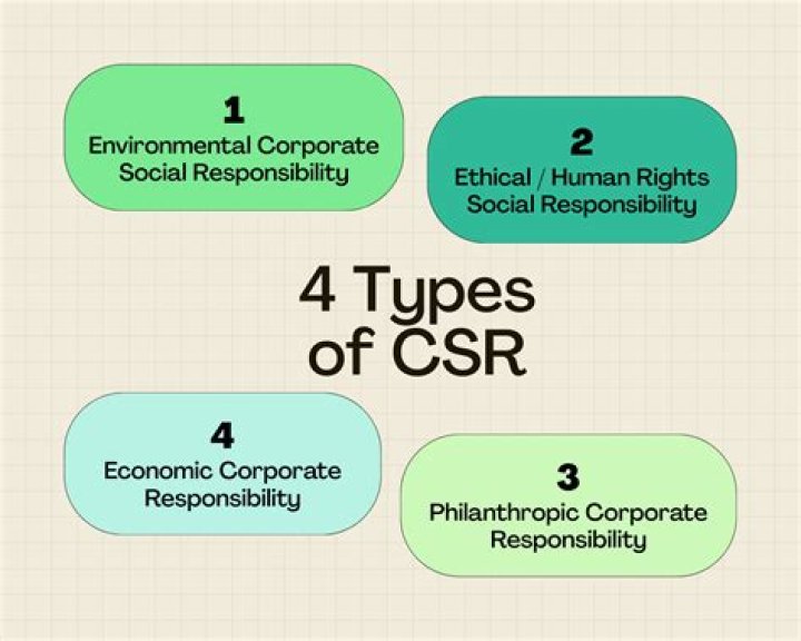 What are four social responsibility issues quizlet?