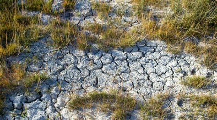 What are human impacts examples?