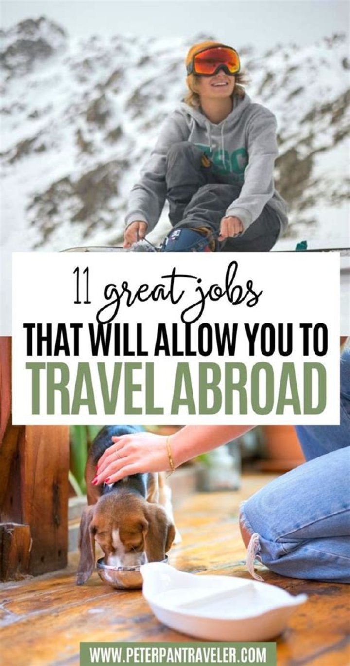 What are jobs that allow you to work with dogs?