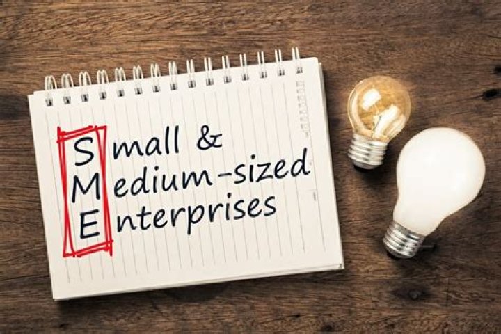 What are medium scale businesses?