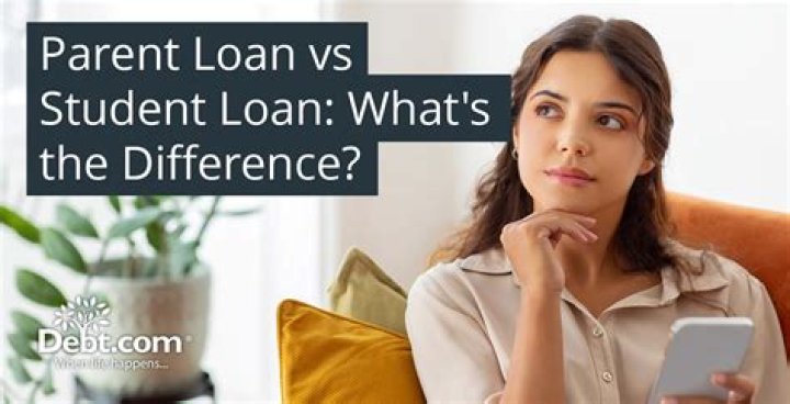 What are parent loans?