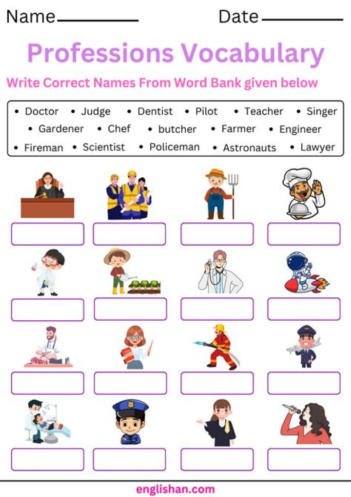 What are profession in French?