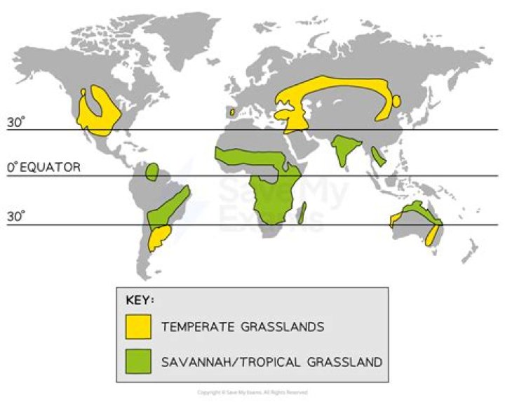 What are savanna good for?