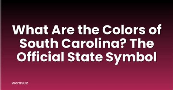 What are South Carolina State colors?