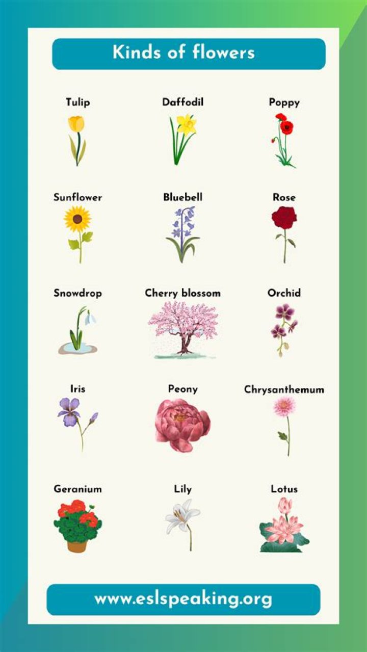 What are the 2 kinds of liar?