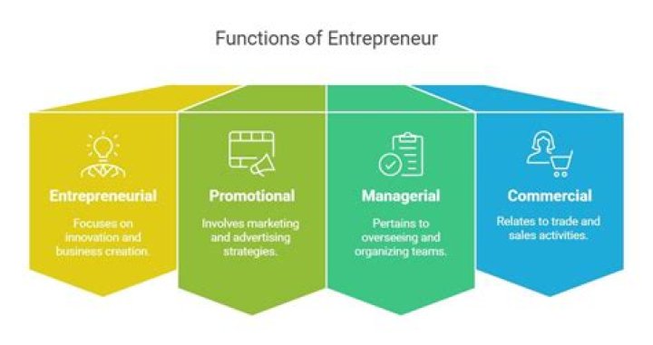 What are the 3 functions of entrepreneur?