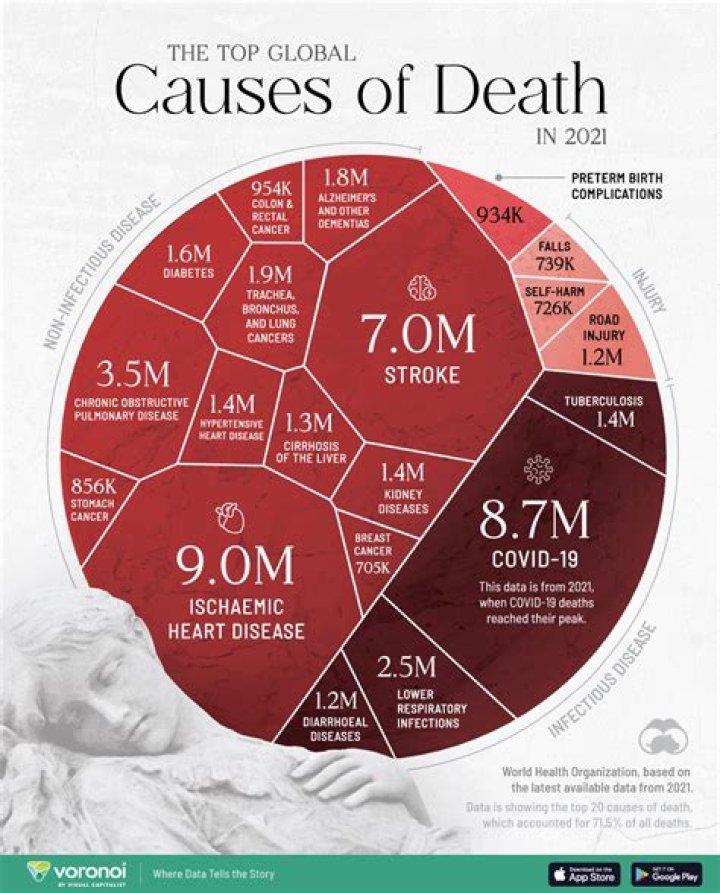 What are the 3 leading causes of death overall?