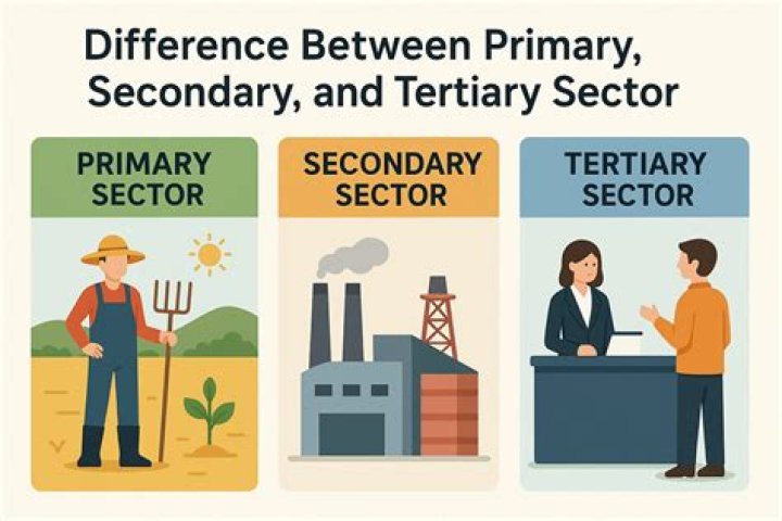 What are the 3 sectors of Johnson and Johnson?