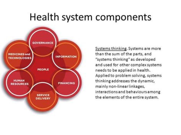 What are the 4 components of a healthcare system?