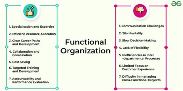 What are the advantages of functional organization?